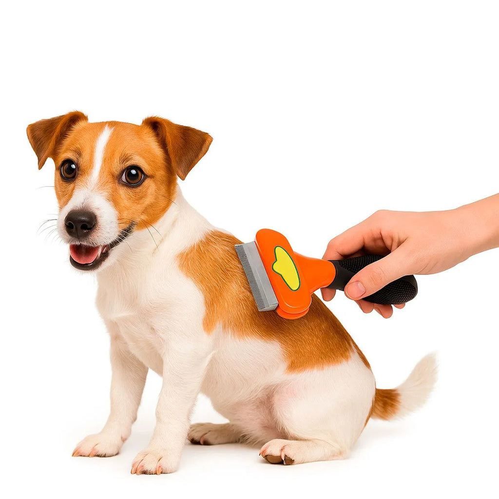 Dachshund Grooming Tool