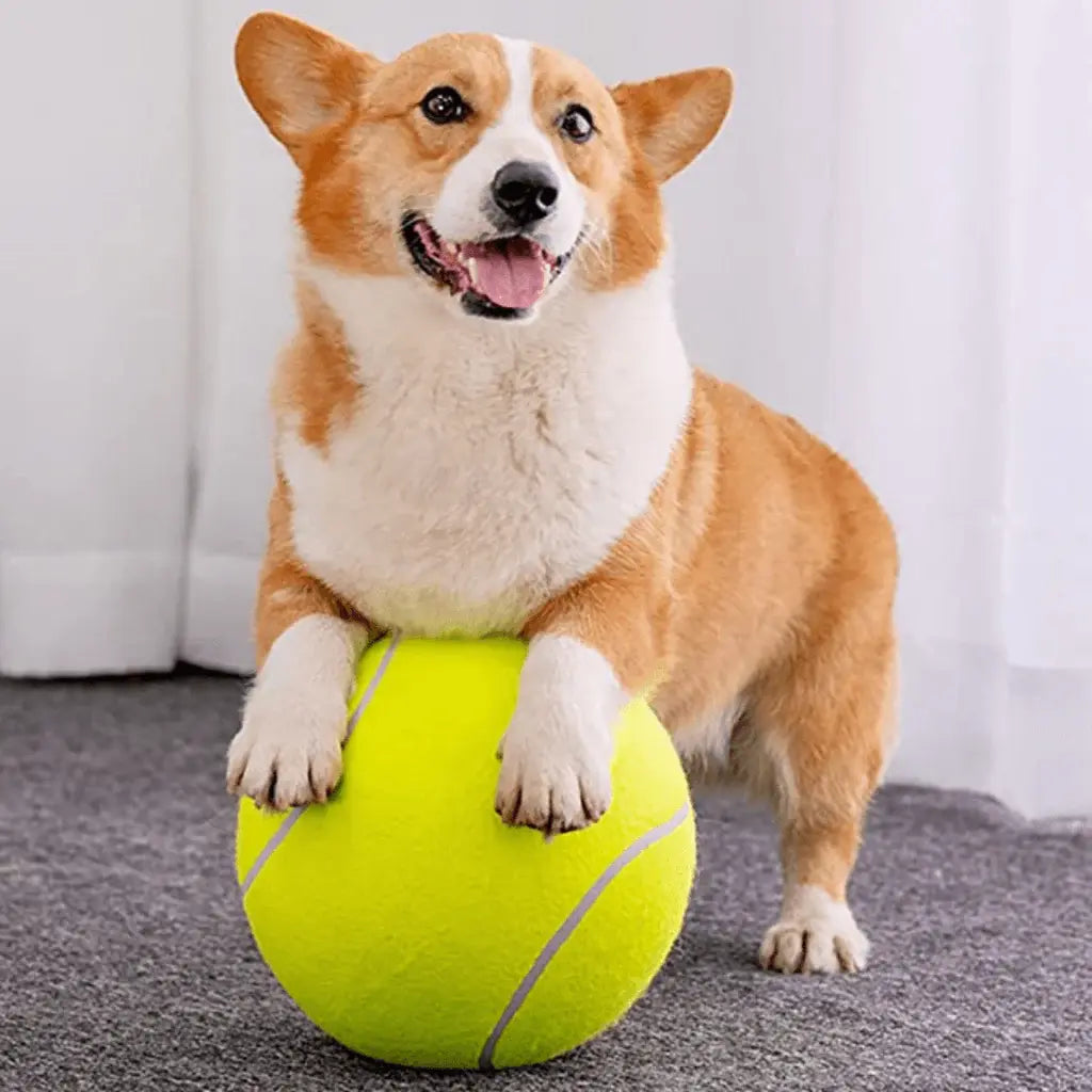 Giant Tennis Ball Toy