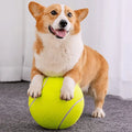 Giant Tennis Ball Toy