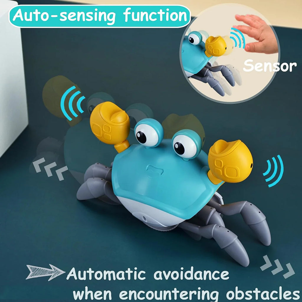 Crawling Crab - Interactive Dog Toy