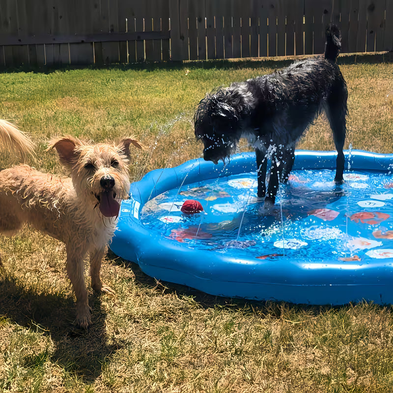 Doxie Sprinkler Pool