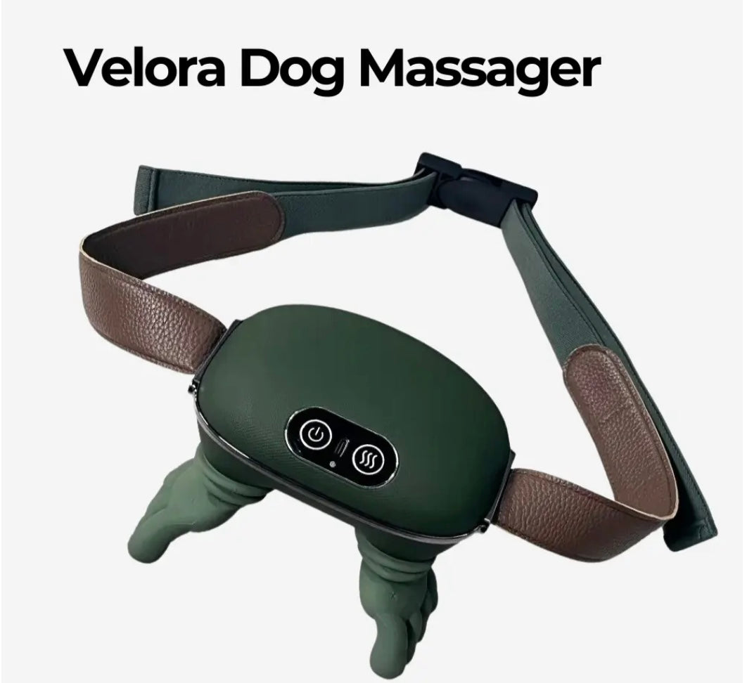 Dachshund Calm Massager