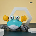 Crawling Crab - Interactive Dog Toy