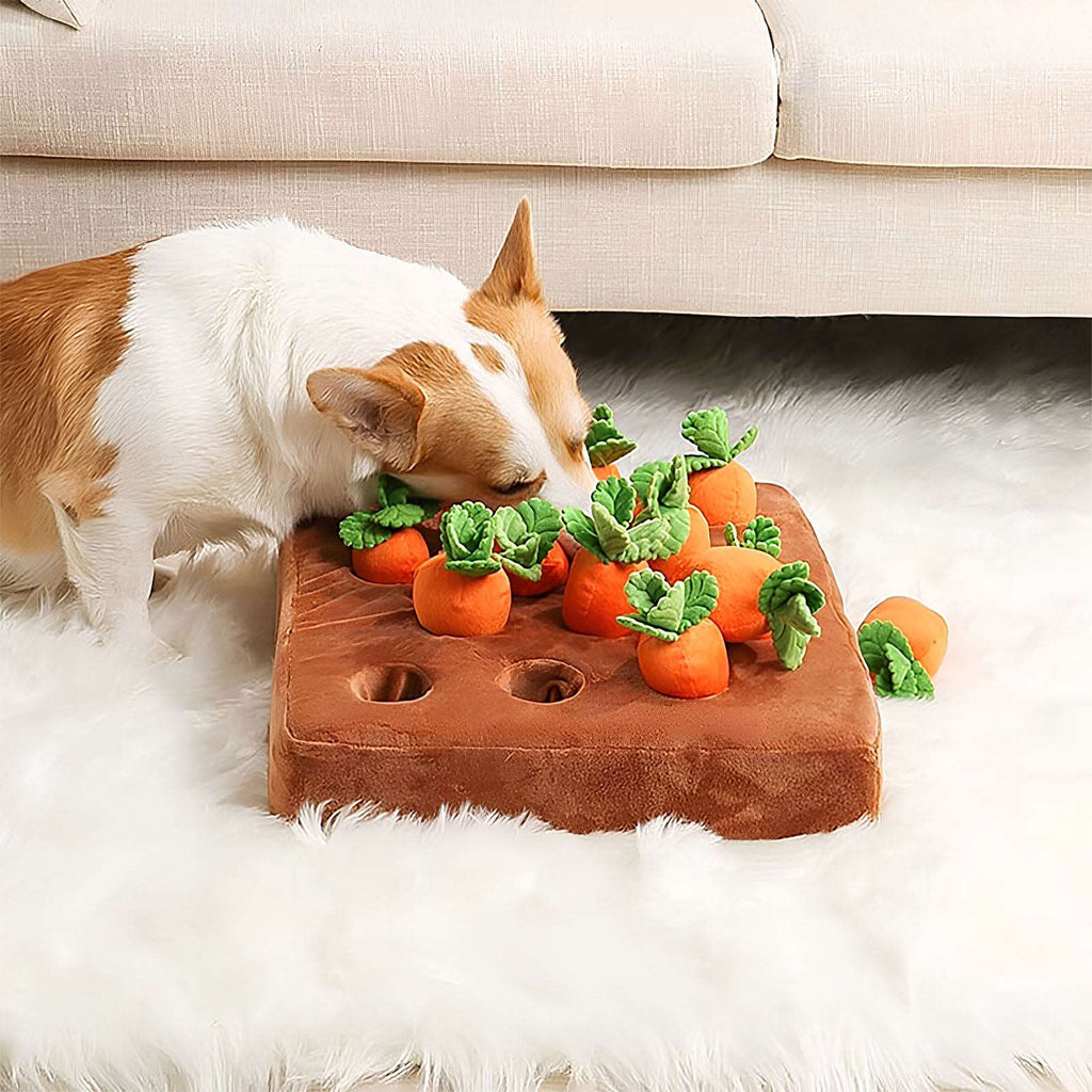 Dachshund Carrot Snuffle Toy