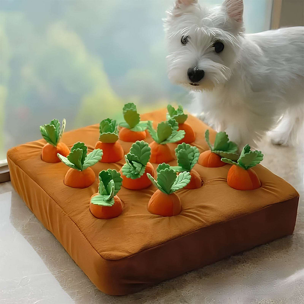 Dachshund Carrot Snuffle Toy