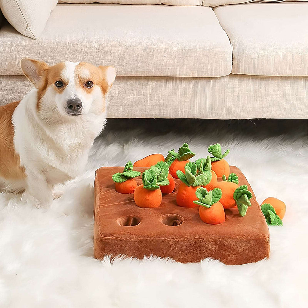 Dachshund Carrot Snuffle Toy
