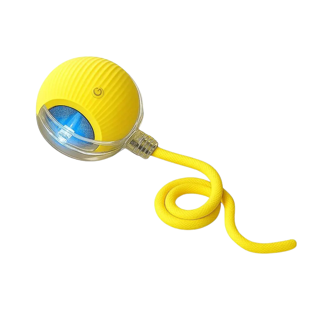 Auto-Rolling Doxie Ball