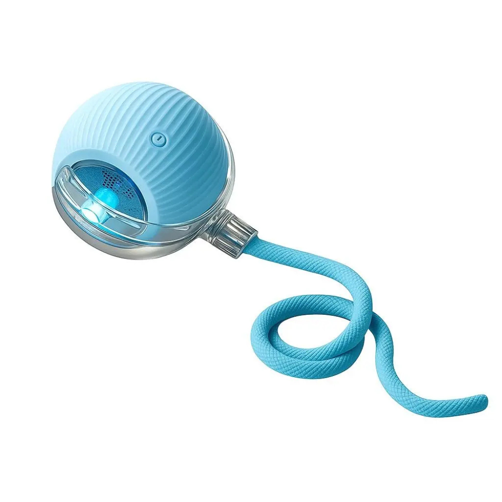 Auto-Rolling Doxie Ball