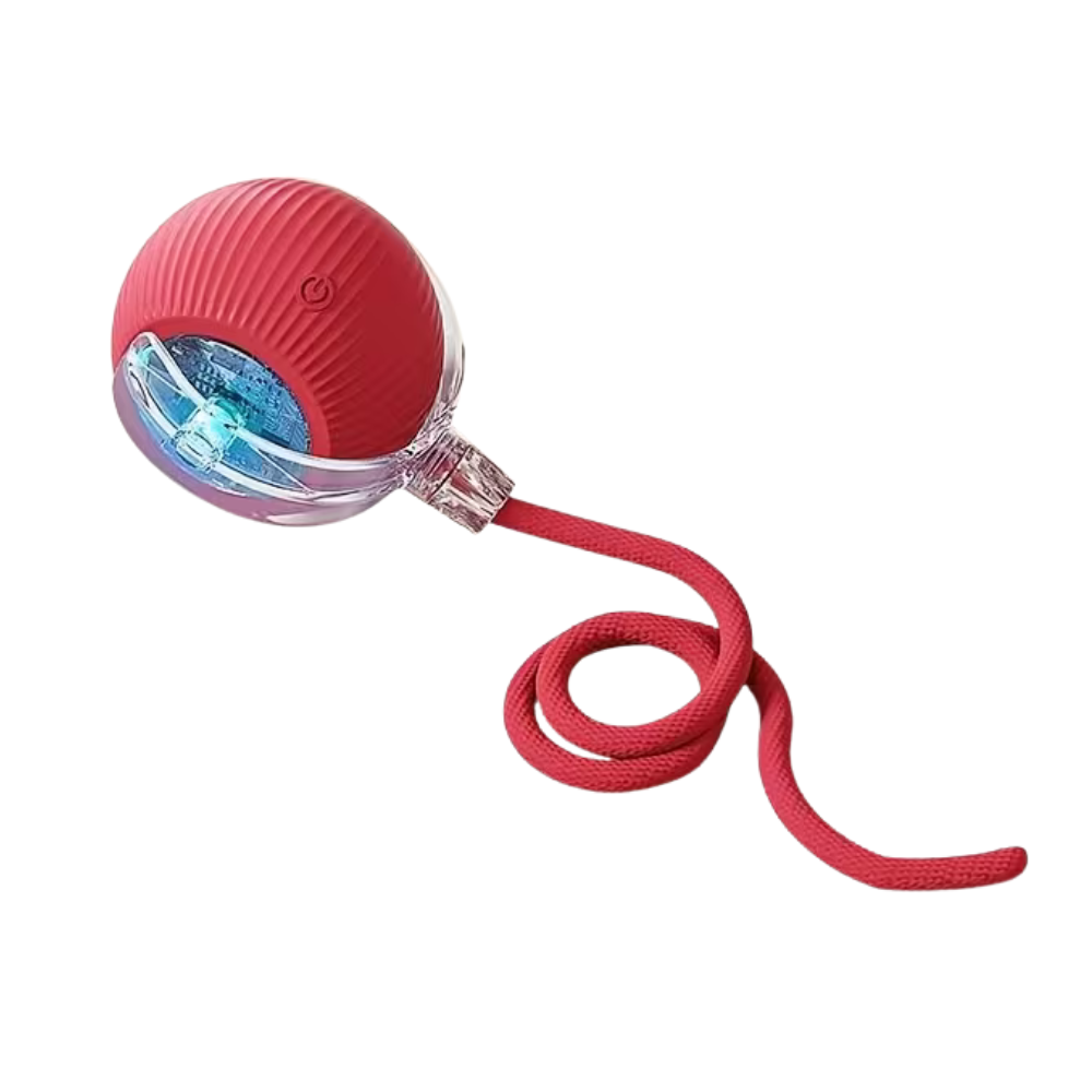Auto-Rolling Doxie Ball