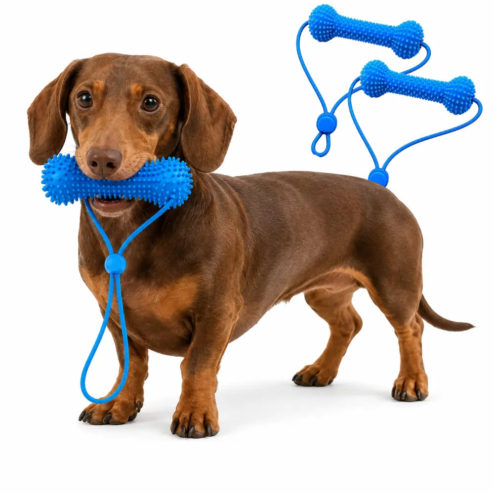 Dog Dental Chew Toy