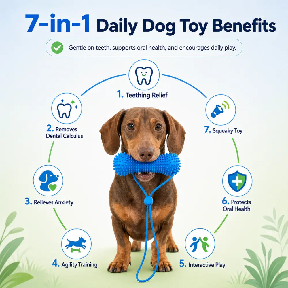Dog Dental Chew Toy