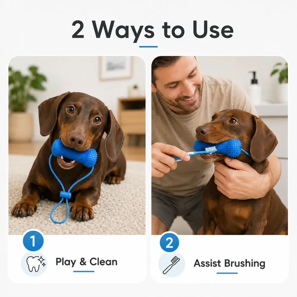 Dog Dental Chew Toy