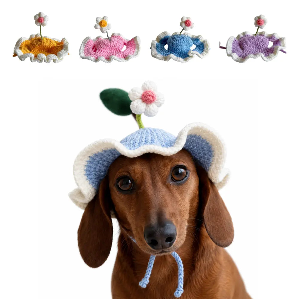 Dachshund Dog Hat