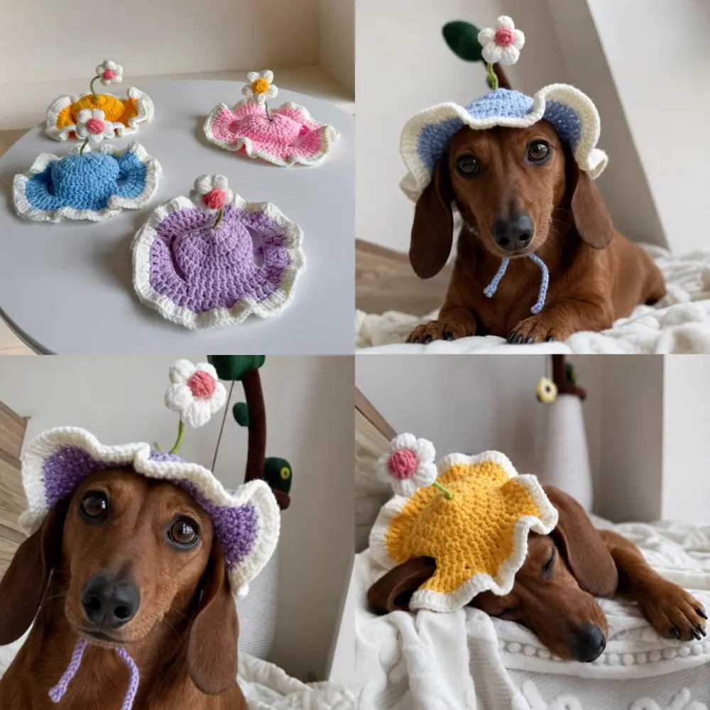 Dachshund Dog Hat