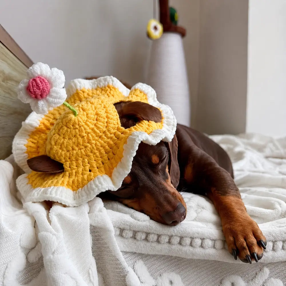 Dachshund Dog Hat