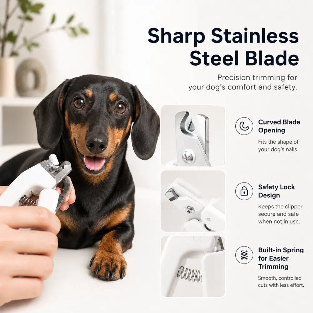 Dachshund LED Nail Clippers