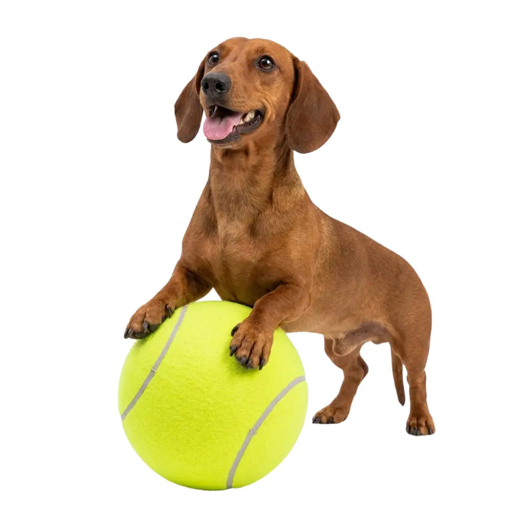 Giant Tennis Ball Toy