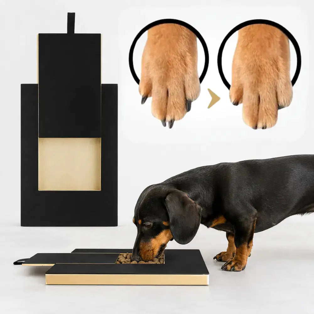 Dachshund Nail Scratch Board