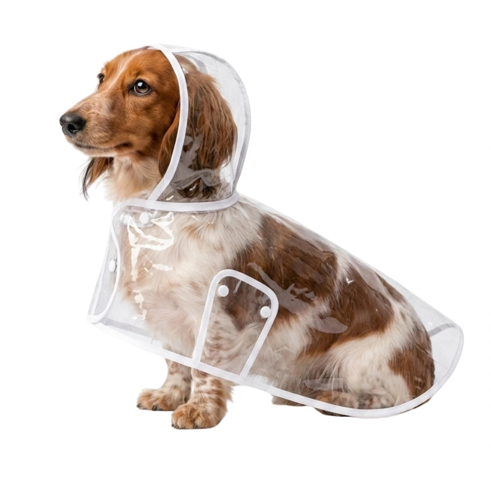 Transparent Dachshund Raincoat