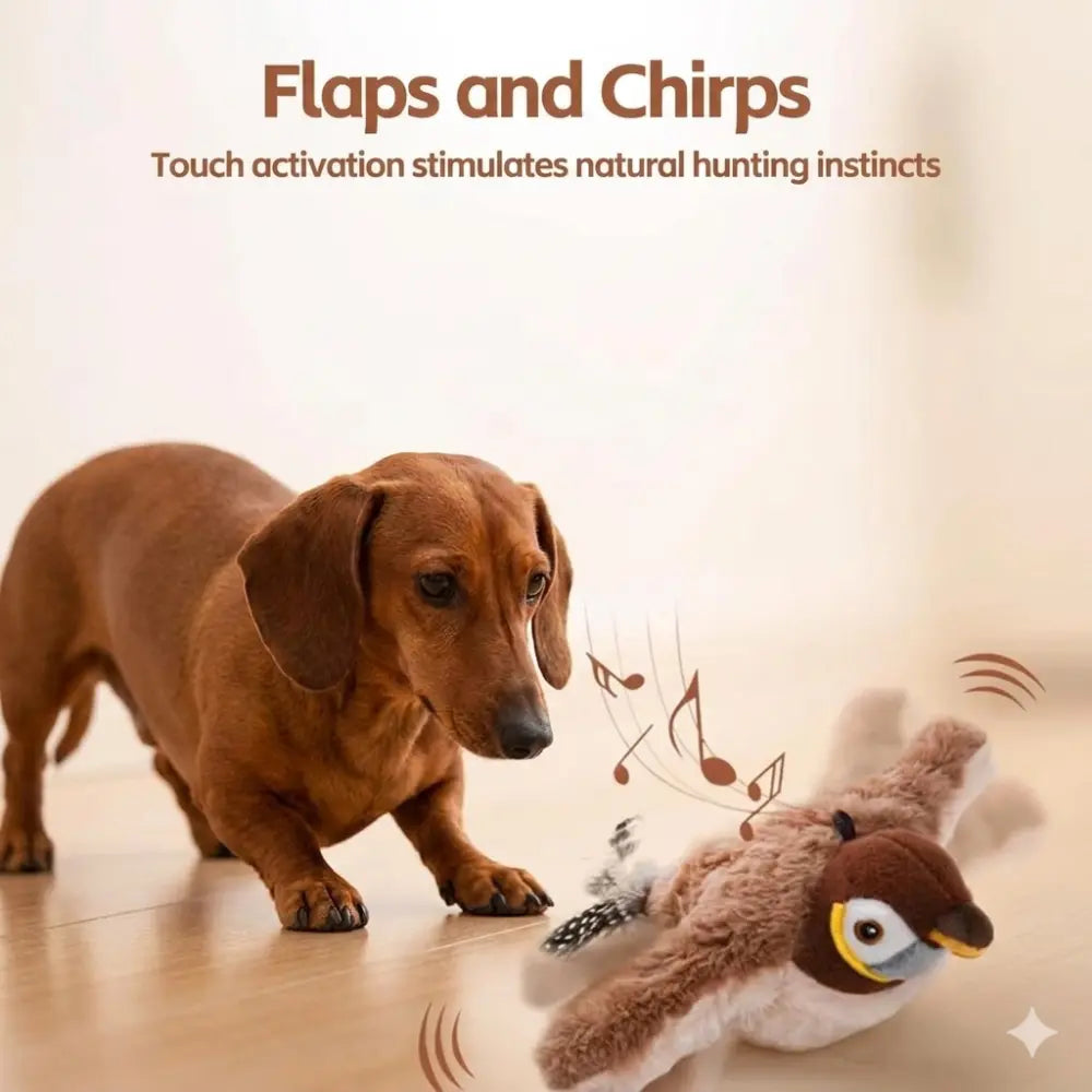 Interactive Bird Toy