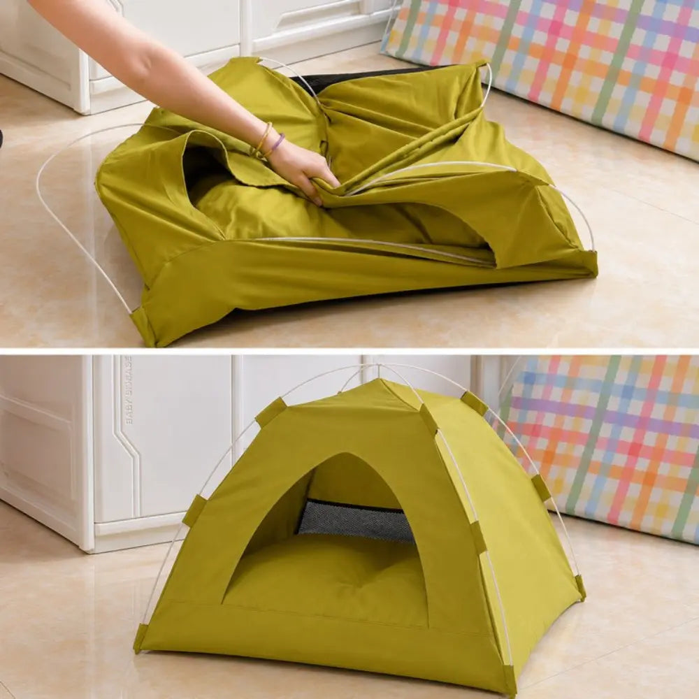 Dachshund Tent House