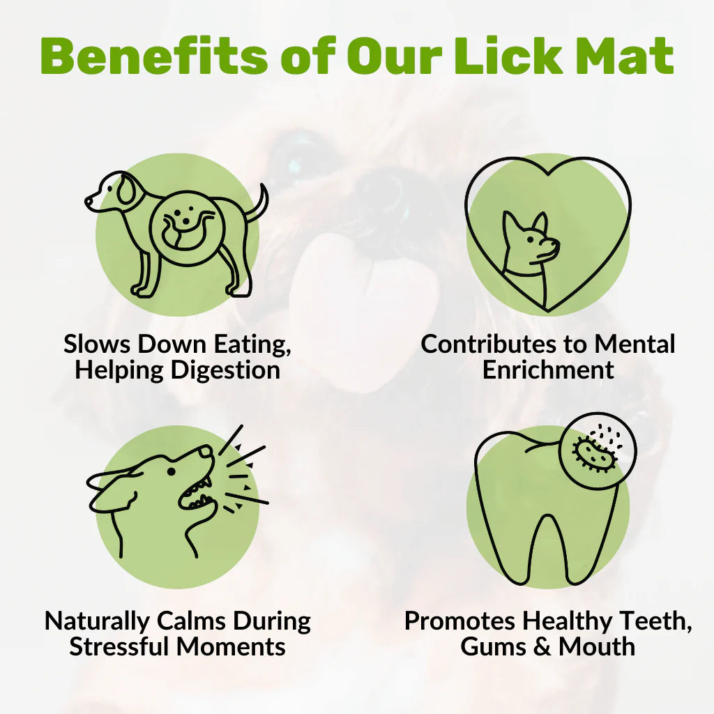 Dachshund Lick Mat
